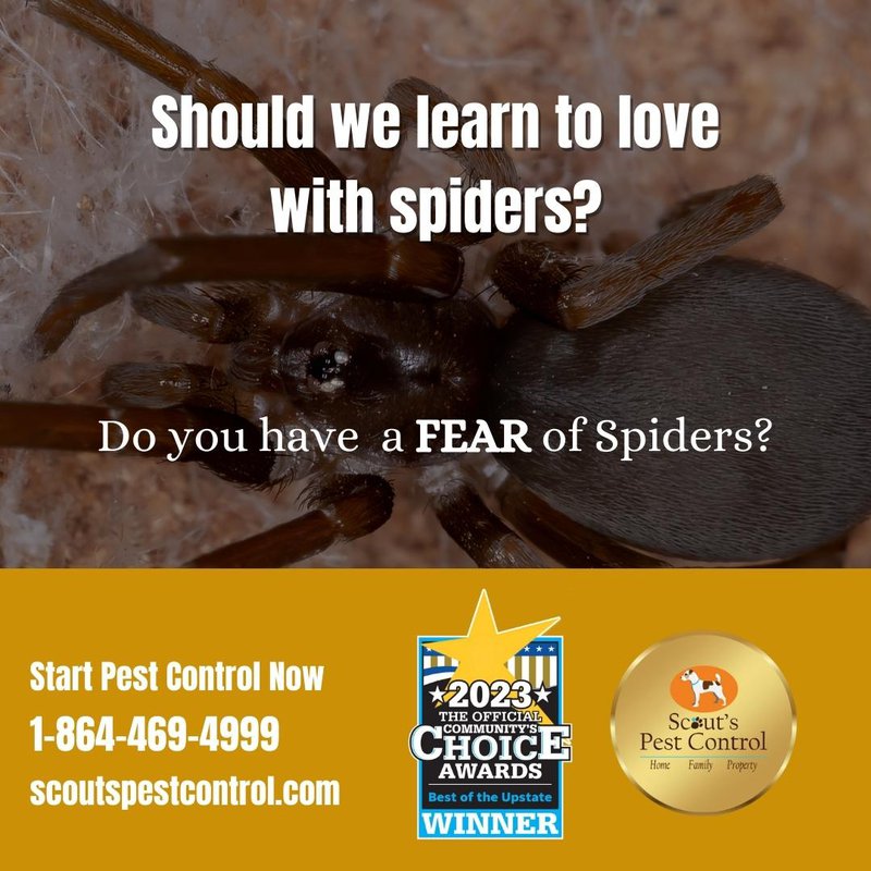 live with spiders