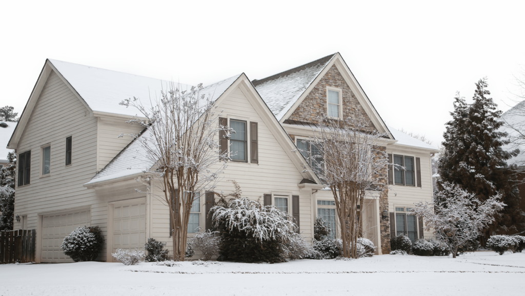 Common Winter Pests in Your North Carolina Home cover