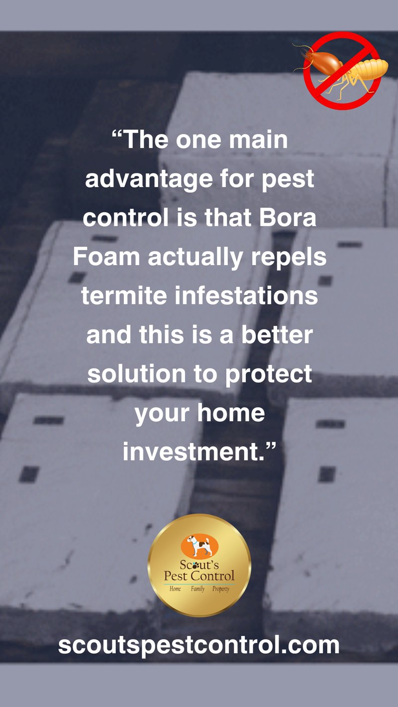 bora foam crawl space insulation