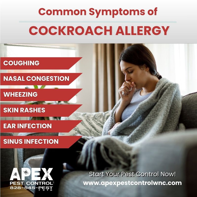 cockroach infestations
