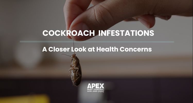 Cockroach Infestations: A Closer Look at Health Concerns cover