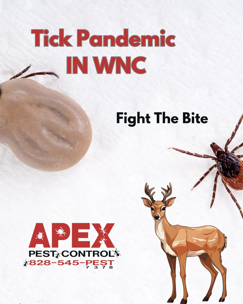 tick pandemic