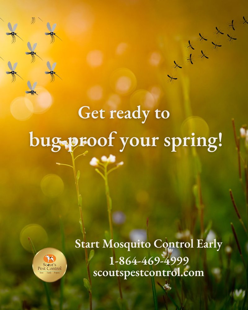 spring mosquito control