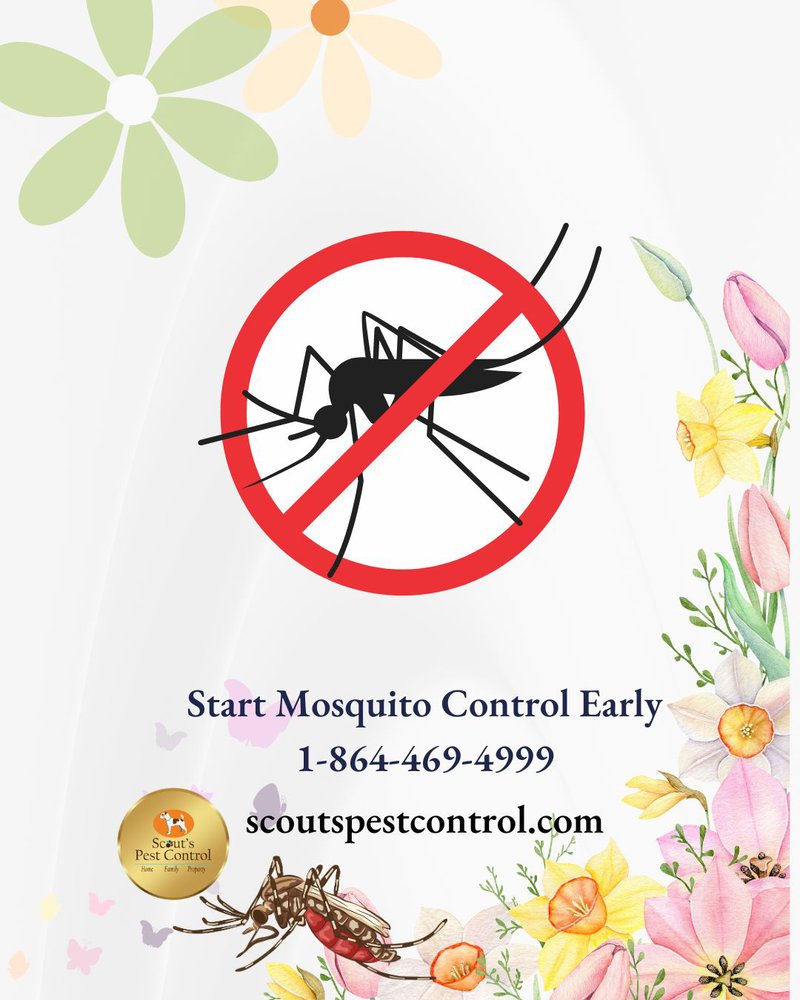 mosquito control