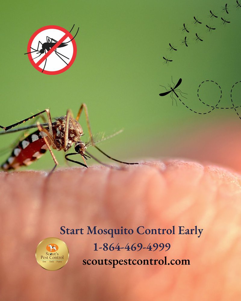 mosquito control