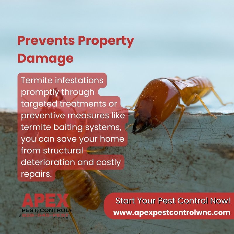 regular pest control