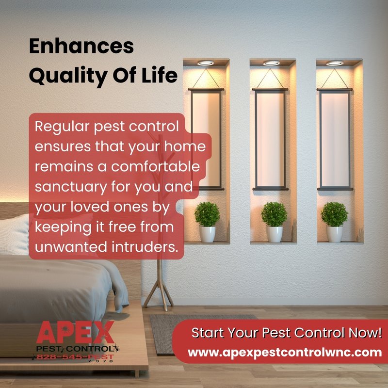 pest management enhances the quality of life