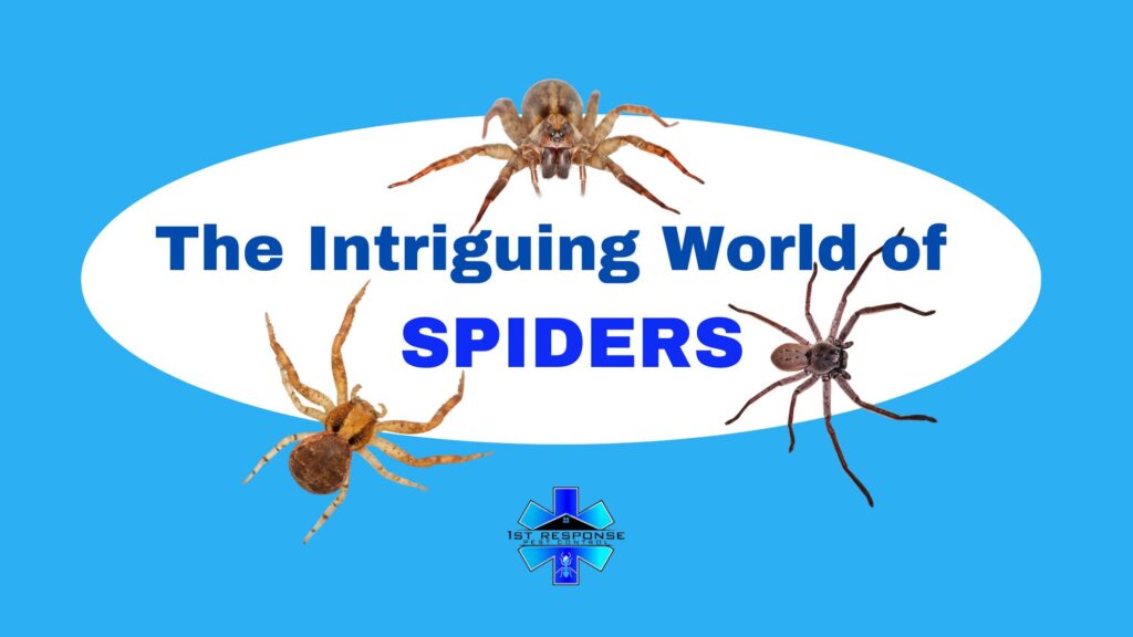 Spider Guide: Understanding and Managing Spider Infestations cover