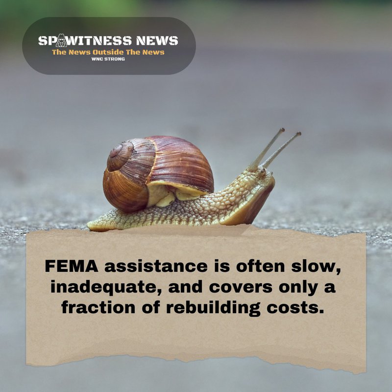 insurance won't pay out for hurricane damage
