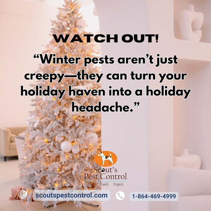 winter pests