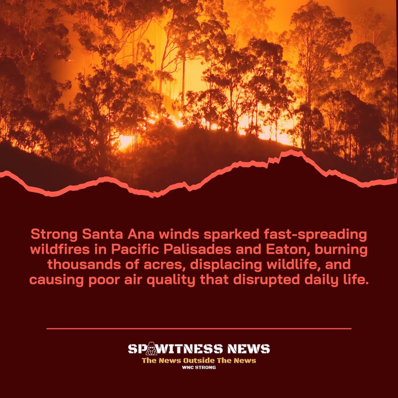 los angeles fires