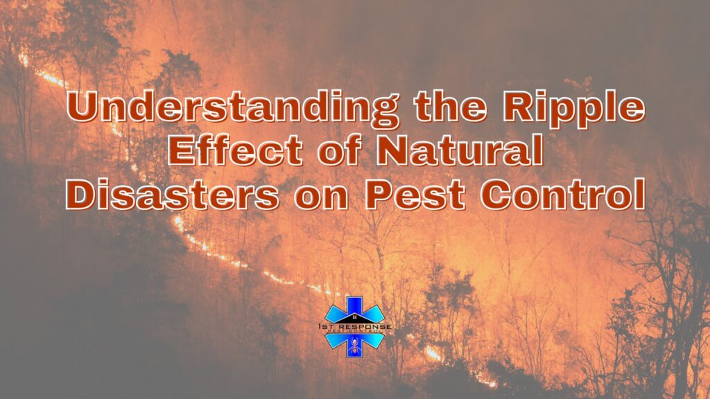 Understanding the Ripple Effect of Natural Disasters and Pest Control cover
