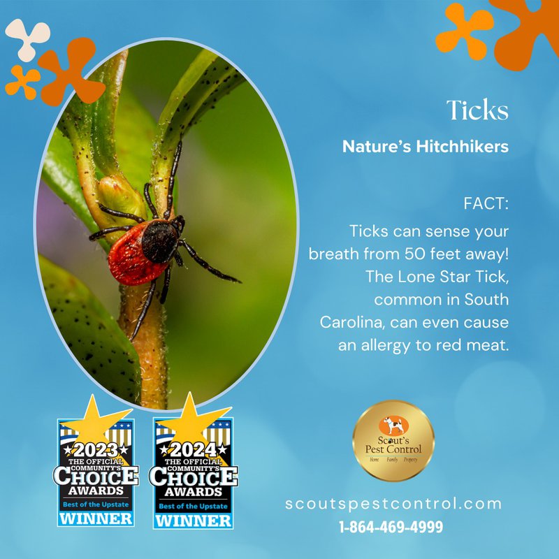 tick prevention in spring