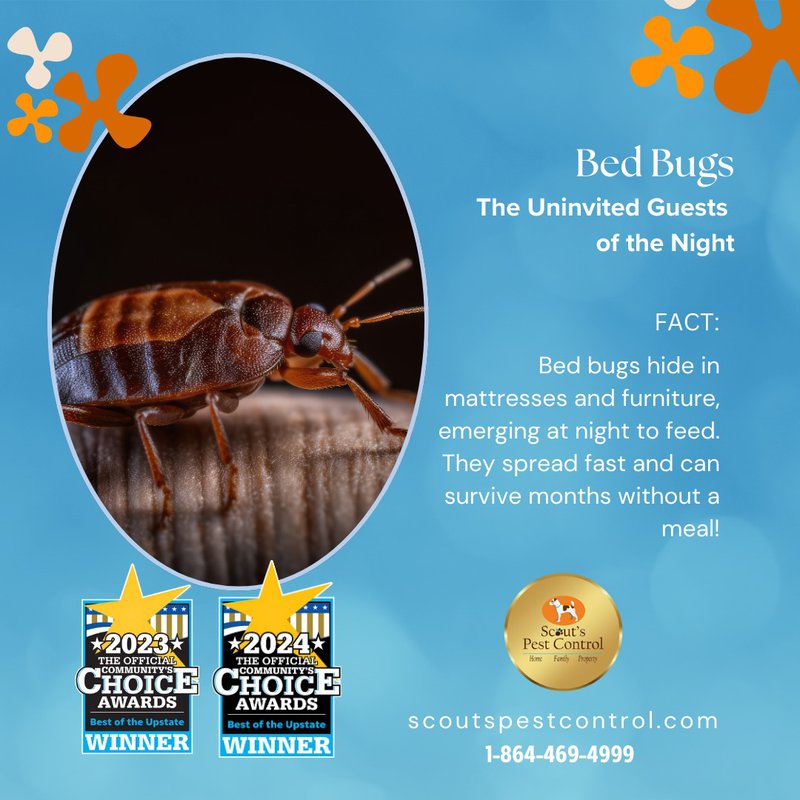 start pest control and protect from bed bugs