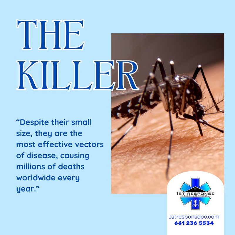 deadly mosquitoes