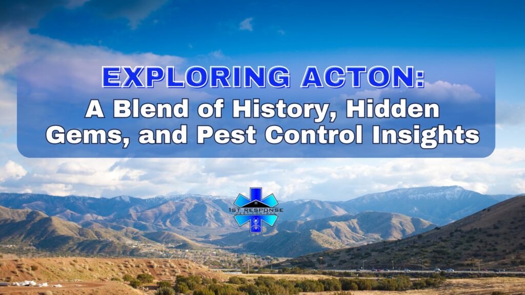 Exploring Acton: History, Hidden Gems, and Pest Control cover
