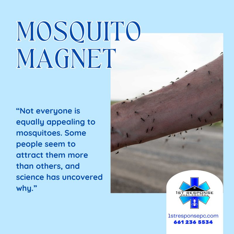 mosquito control