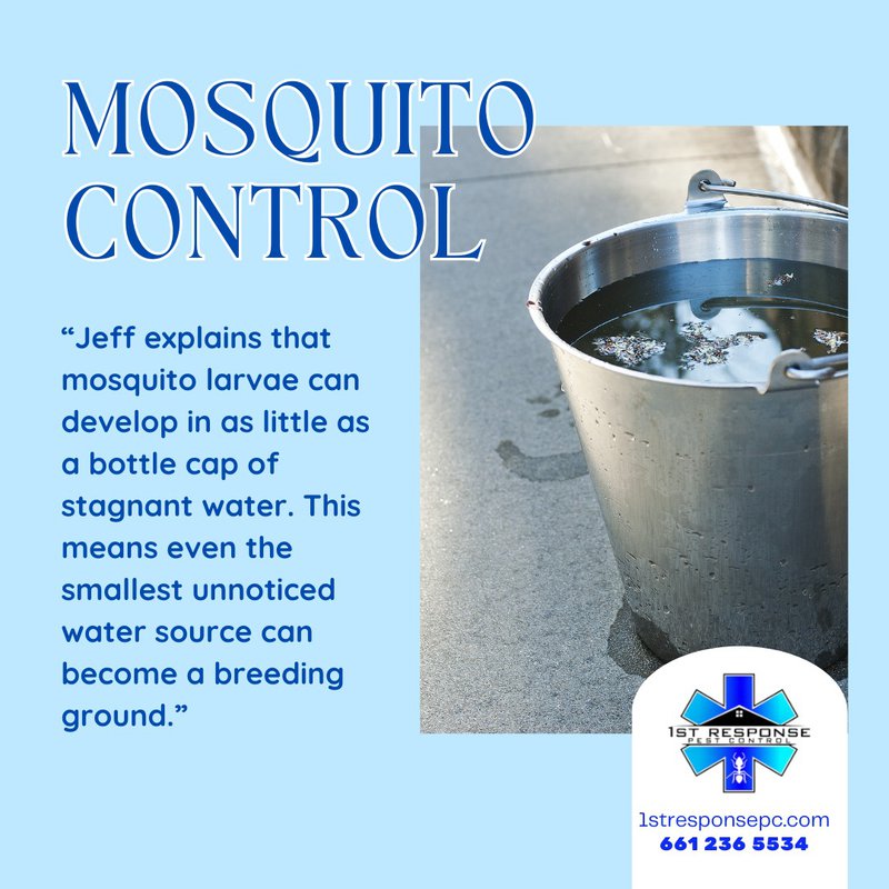 stop mosquitoes