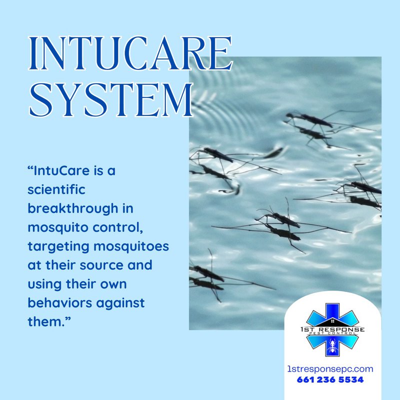 mosquito control