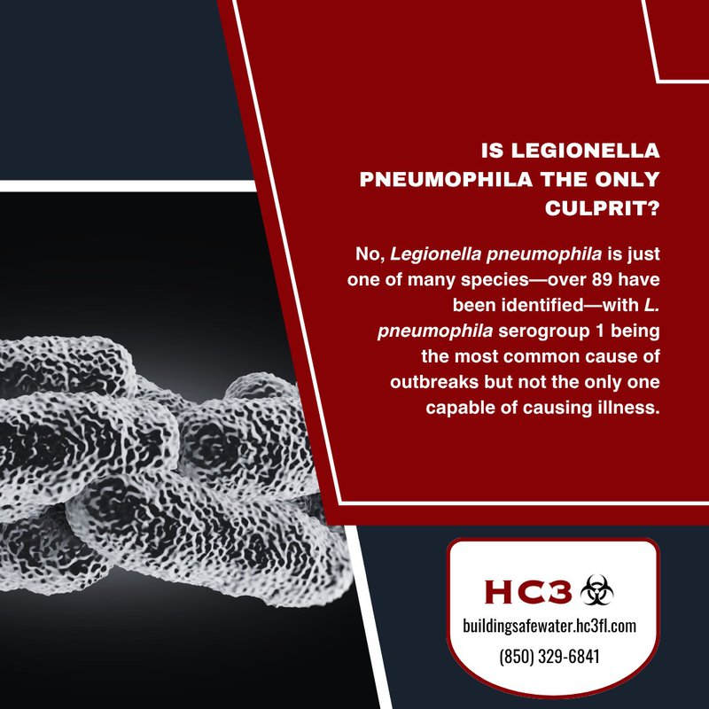 Legionnaires disease