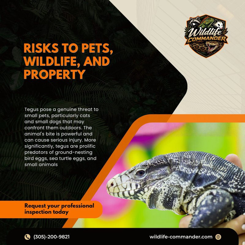 invasive reptiles